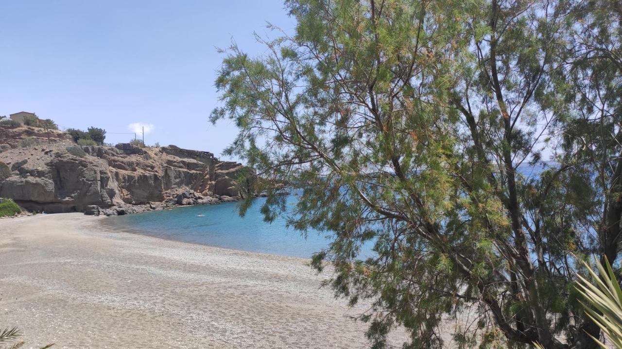 Blue Paradise בית נופש